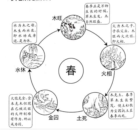 五行旺相休囚死|四柱学基础篇（11）—五行旺相休囚死